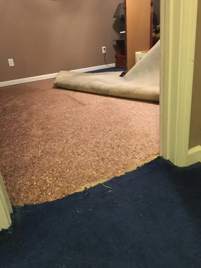 Carpet pad removal revealing water damage during Water Mitigation Services in Hanover Park