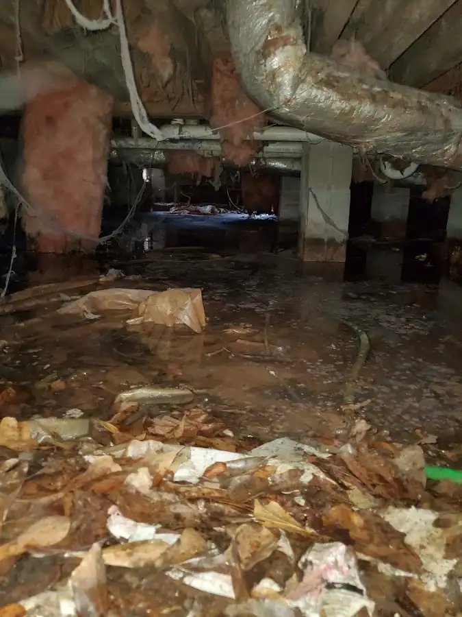 Crawl space flood assessment for Leak Detection & Repair in Hanover Park
